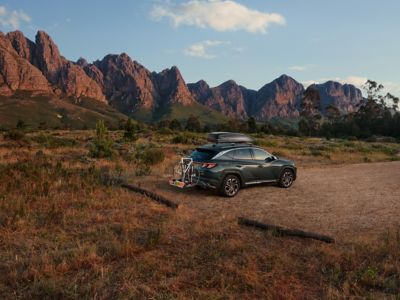 Hyundai Zomerinspectie